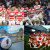 Japan Rugby World Cup Players the story so far &#8211; Rugby World Cup Tickets | RWC Tickets | France Rugby World Cup Tickets |  Rugby World Cup 2023 Tickets