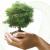 What is Sustainability Management? Definition, Importance and Features