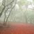 Matheran hill station, Matheran, 