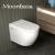 Rak Wall Hung Toilet | Chaozhoumoonbasa.com