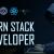 MERN Developer