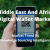 middle east and africa digital wallet market