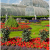 Minicabs for Royal Botanical Gardens, Taxi for Royal Botanical Gardens | Minicabs.co.uk