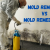 Difference Between Mold Removal and Mold Remediation &#8211; JM Environmental Inc.