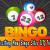 Most Exciting New Bingo Site UK Variants - Lady Love Bingo