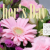 Mothers Day Online Flower Delivery to Sharjah &amp; Ajman - UAE