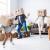 Moving from Texas to Florida | Find A Movers Company In Florida