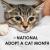 National Adopt a Cat Month - Help a Cat Reach It&#039;s Forever Home