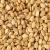 Sesame Suppliers | Organic Sesame Seeds Manufacturers, Exporters