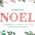 Noel Font Free Download OTF TTF | DLFreeFont