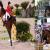 France Olympic: Saudi Equestrian jumping team book spot at Olympics 2024 - Rugby World Cup Tickets | Olympics Tickets | British Open Tickets | Ryder Cup Tickets | Anthony Joshua Vs Jermaine Franklin Tickets
