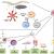 Non-IgG antibodies Development for Parasitic Infection Therapy - Creative Biolabs