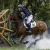Paris Olympic 2024 Reveals Test Event and Stabling Details for Olympic Equestrian Eventing - Rugby World Cup Tickets | Olympics Tickets | British Open Tickets | Ryder Cup Tickets | Women Football World Cup Tickets
