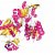 ATP Citrate Lyase Inhibitors, Agonists and Modulators - BOC Sciences