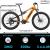 PASELEC Fat Tire Full Suspension Mountain Electric Bike