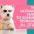 The Ultimate Guide to Summer Skin Care for Pets