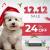 12.12 Sale- PetCareClub