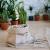 Must Have Garden Accessories | danubehomebahrain