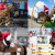 Paris Olympic: Canadian Equestrian Team Aims for More Jumping