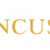 Speaker Coaching NY - The Pincus Group