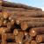 Pine Wood Suppliers