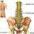 PIVD or Prolapsed Inter Vertebral Disc