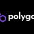 Polygon: Người Dùng Hoạt Động Hàng Ngày Tăng Đột Biến, Vượt Xa Ethereum và Solana