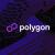 Polygon Đẫn Đầu Về Inscriptions, Vượt Xa BNB Và Avalanche