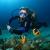 Complete overview of Scuba diver course &#8211; Seahawks Scuba