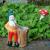 Decorate Your Garden with Pixieland's Garden Gnome Scott