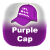IPL 17 Purple Cap Holders 2024 - Cricwindow.com 