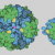 Agalsidase alfa, Recombinant human alpha-galactosidase A - Therapeutic Proteins