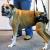 Mobility Harnesses Using For Your Dog