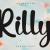 Rilly Font Free Download OTF TTF | DLFreeFont