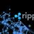 Ripple Lật Tẩy Tuyên Bố ‘XRP Là Bảo Mật’ Của Đảng Cộng Hòa