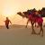 Essential Things to Do in Jaisalmer