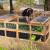 Wide, Extra Deep Modular Raised Garden Bed Panels &#8211; The Perfect Solution For Your Coops! &#8211; Roost &amp; Root