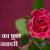 30+ Best Rose Flower Information In Hindi 