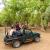 Jungle Safari In Ranthambore | Ranthambore Stay And Safari