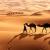 10 Amazing Sahara Desert Images - Fontica Blog