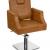 Buy Salon Chairs Online Surat