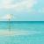 Key West Sandbar Charter | Looney Tunes Charter Fishing
