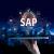 SAP ABAP vs. SAP FICO: Which is Better for Your Career?