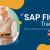 Who Is an SAP FICO Consultant?