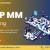 List the Reasons Behind the Popularity of SAP MM