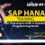 SAP HANA Training in Gurgaon