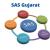 Best alternative of SAS Gujarat