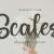 Scales Font Free Download OTF TTF | DLFreeFont