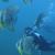 Thrilling Scuba Diving in Andaman & Nicobar Islands