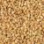 Natural/Organic Sesame Seeds Manufacturers, Suppliers &amp; Exporters